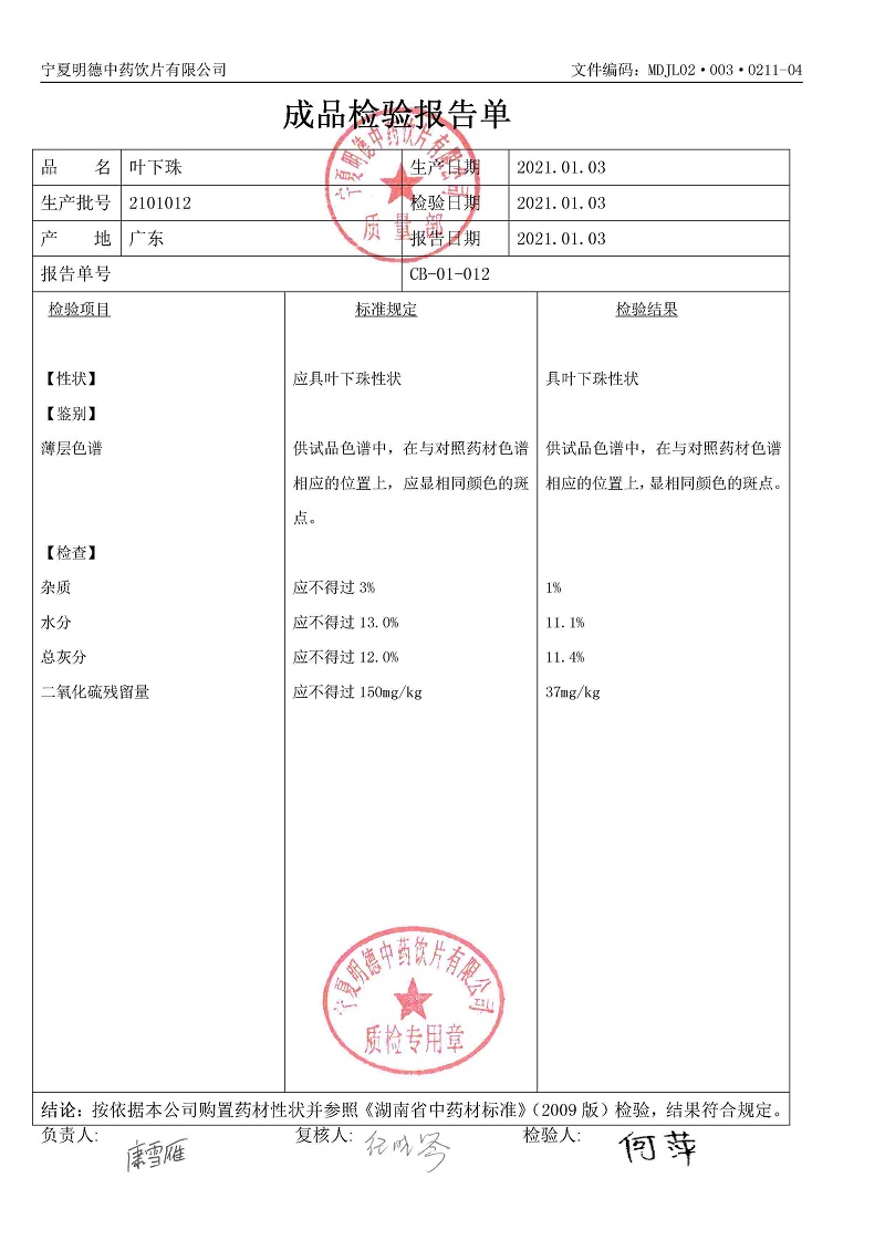 2101012葉下珠.jpg